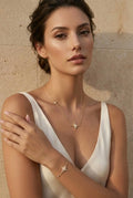Collier Venice Beach