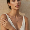 Collier Venice Beach